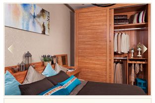 诗尼曼整体衣柜 产品解析与加盟前景全攻略