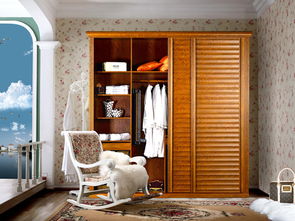 衣柜加盟 中国最专业的衣柜加盟网 大量衣柜品牌